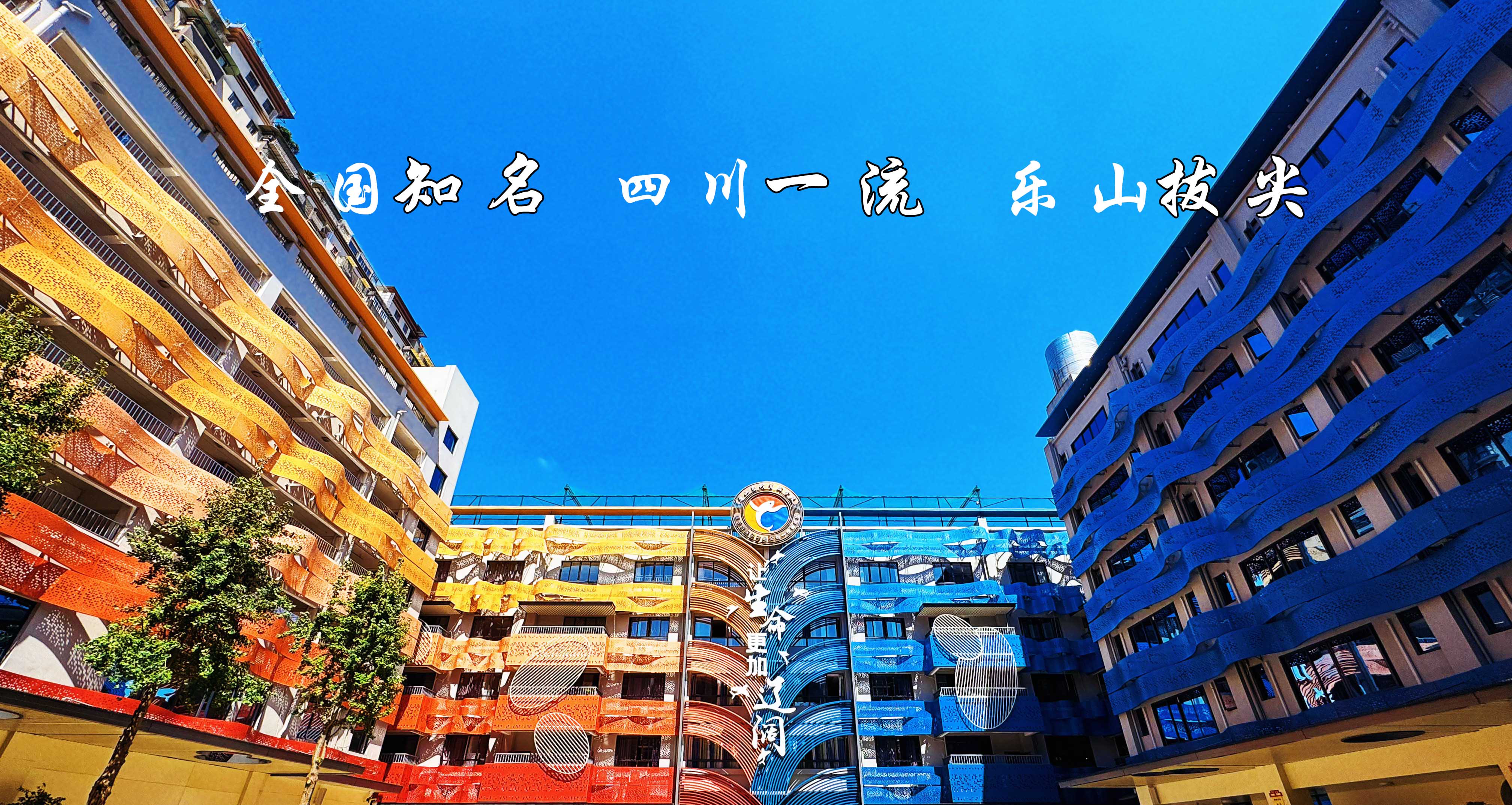 管理团队banner